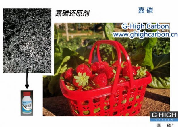 嘉碳還原劑守護(hù)“莓”好，甜蜜上線