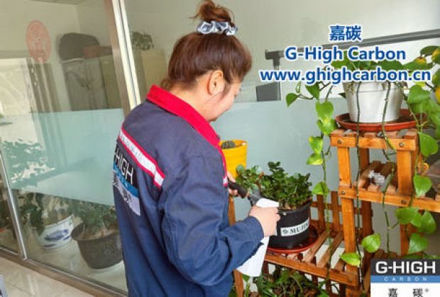 午休時光種花忙，美化辦公環(huán)境添綠意